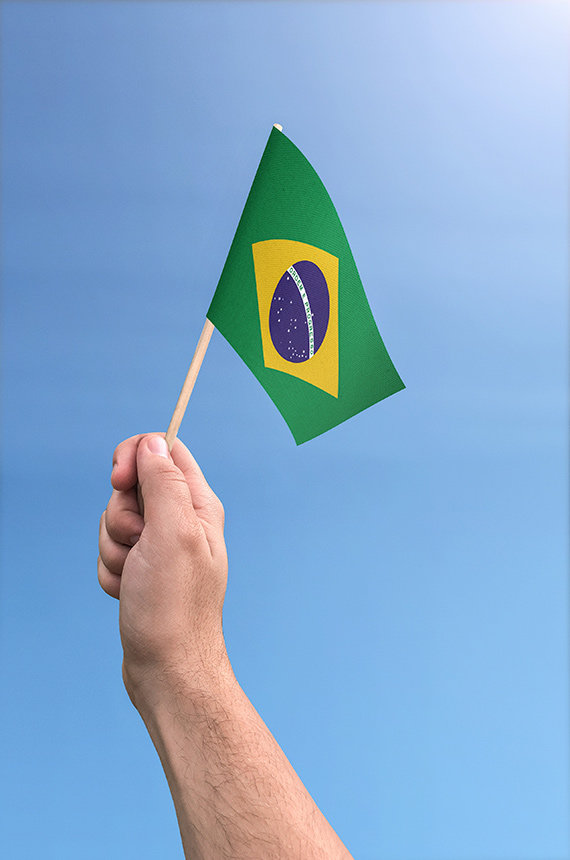 Simbologias da bandeira nacional. A bandeira nacional do Brasil